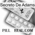 Adams Secret 41